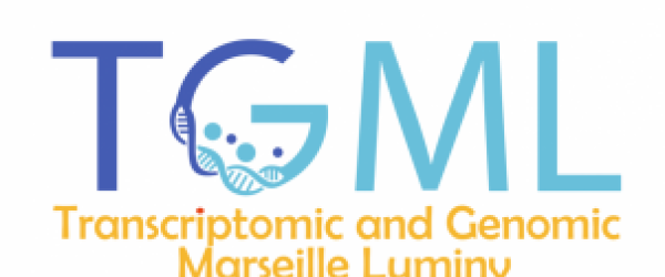 plateforme TGML